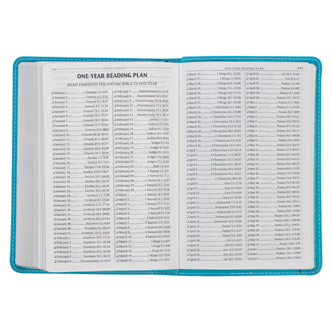Turquoise Faux Leather Compact King James Version Bible