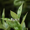 Image of Blessed Ring