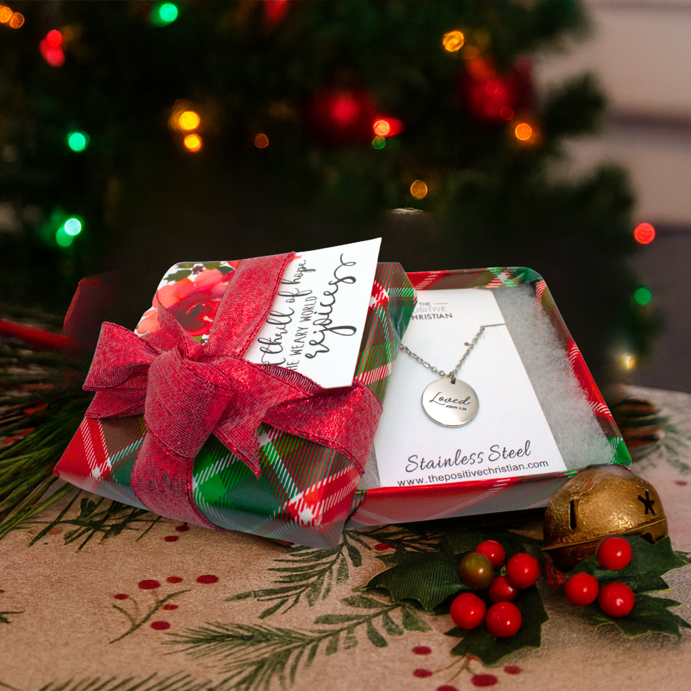 (Gift-wrapped) Loved John 3:16 Necklace - Silver