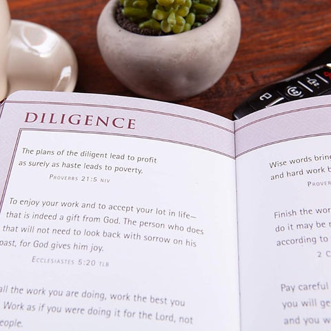 Bible Promises For Graduates (Raspberry)